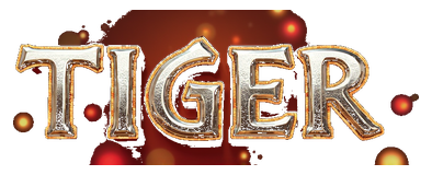 tiger dragon logo